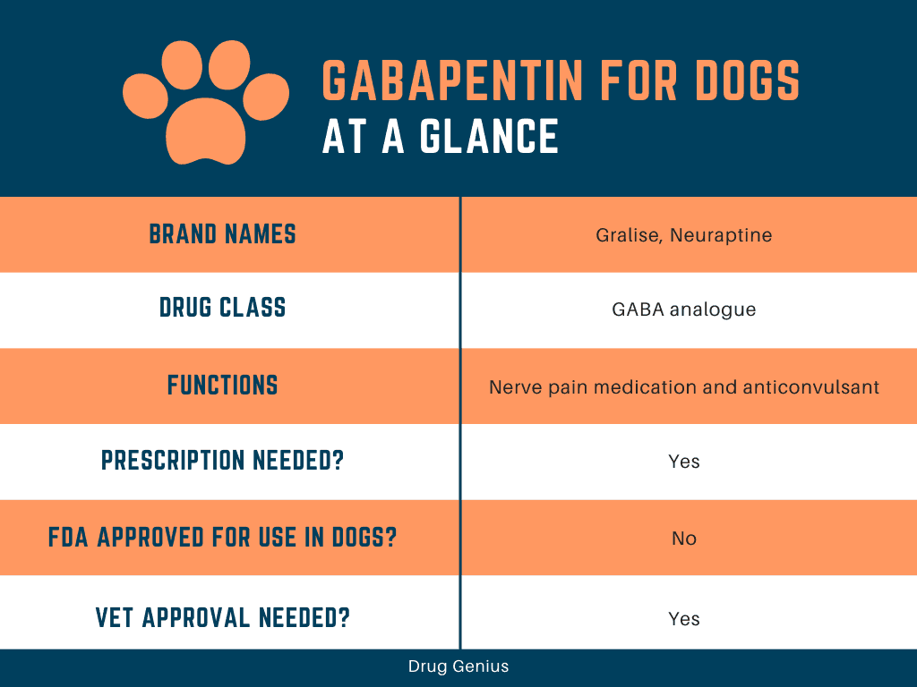 Chart explaining basics about gabapentin for dogs.