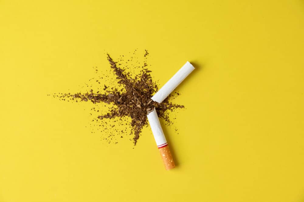 Close up cigarette broken tobacco blast spread on yellow pastel background with light side and little shadow. No and quitting smoking concept.