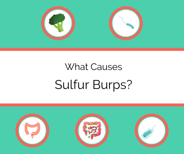 What Are Sulfur Burps Causes And Treatments Drug Genius what-are-sulfur-burps-causes-and-treatments-drug-genius