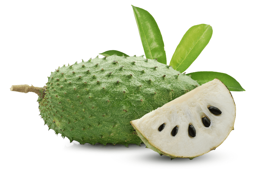 Soursop Uses Benefits And Side Effects Of Guanabana Drug Genius