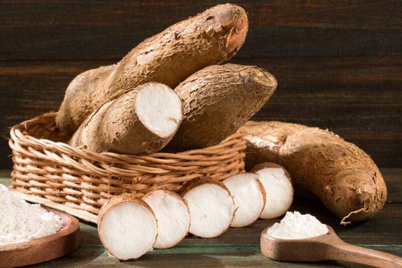 Is Yuca Keto Friendly How Many Carbs Cassava Drug Genius is-yuca-keto-friendly-how-many-carbs-cassava-drug-genius
