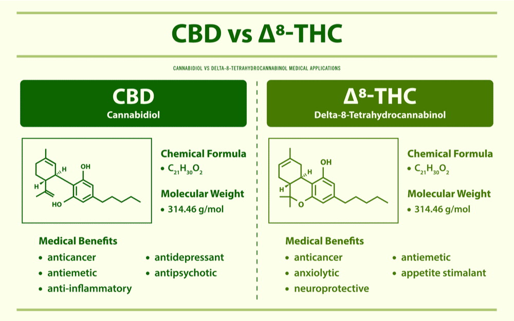 CBD vs Delta 8