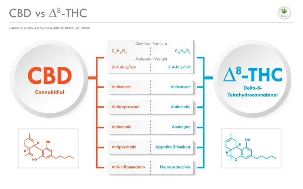 Cannabis vs Delta 8