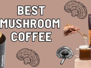 Best Mushroom Coffee