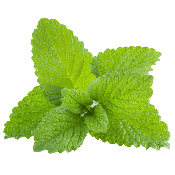 New Mood Lemon Balm