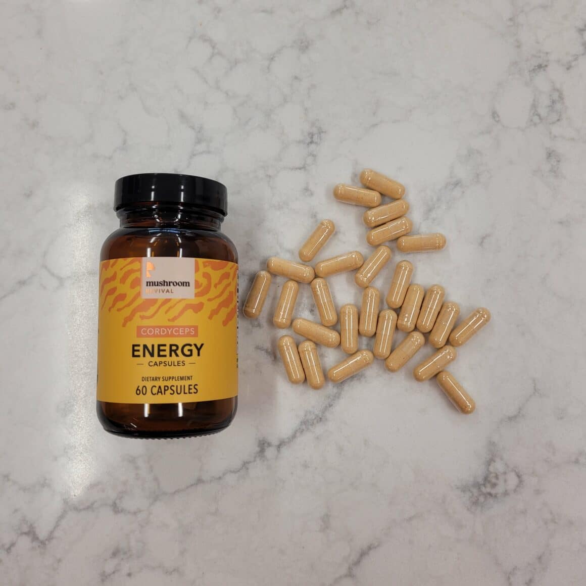 Cordyceps Supplement Mushroom Revival