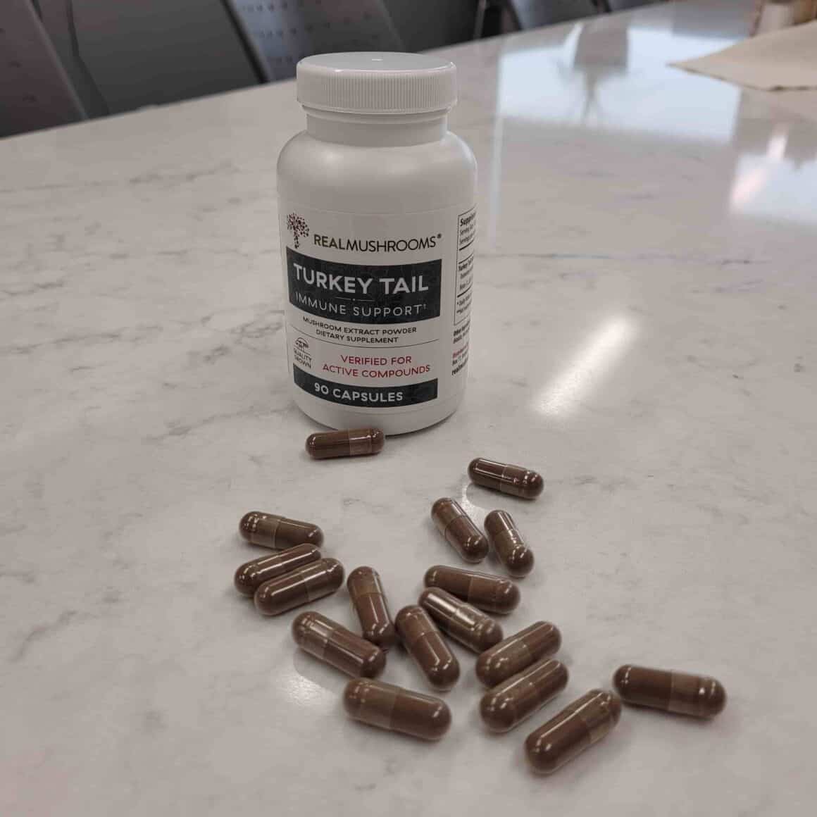 Turkey Tail Supplement