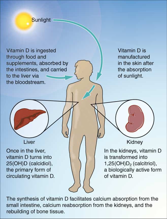 what prevents vitamin D absorption