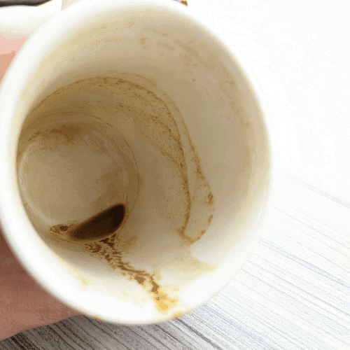 MUD/WTR Sediment In Cup