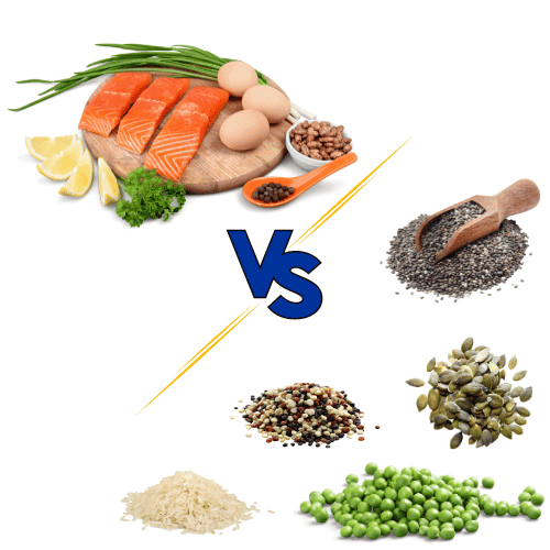 plant vs animal protein